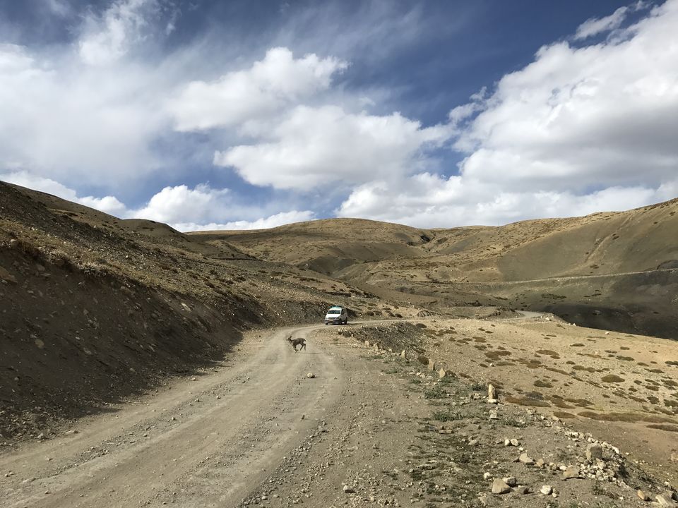 Photo of Spiti Valley: A Road Tripping Journey 70/106 by Vikas Singh