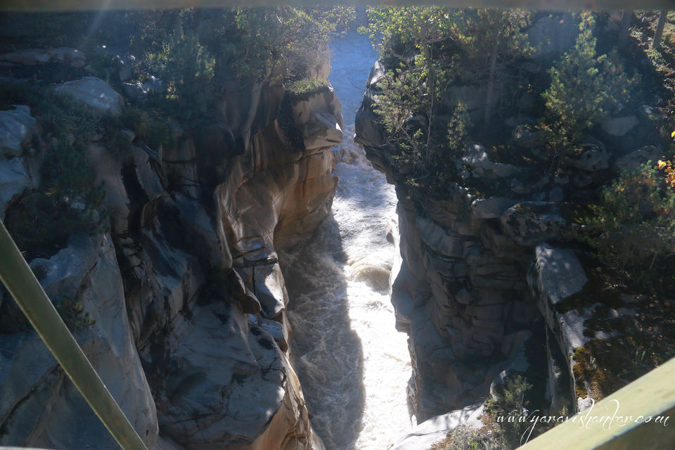 Photo of Trip to Dodhi Taal birth place of Lord Ganesh via Gangotari and Yamunotri 17/115 by Ravi Shankar