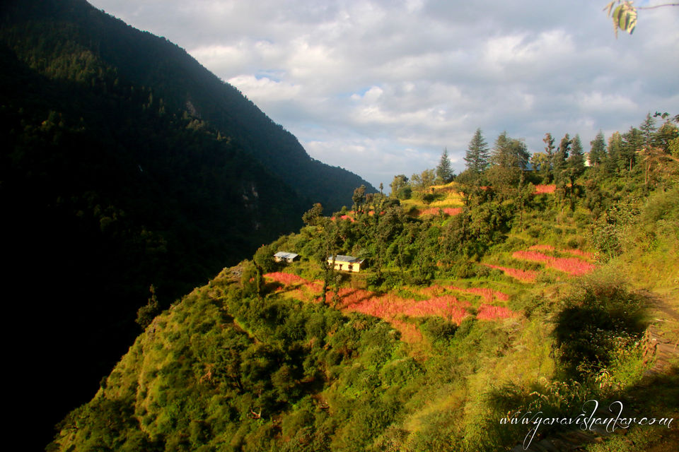 Photo of Trip to Dodhi Taal birth place of Lord Ganesh via Gangotari and Yamunotri 26/115 by Ravi Shankar