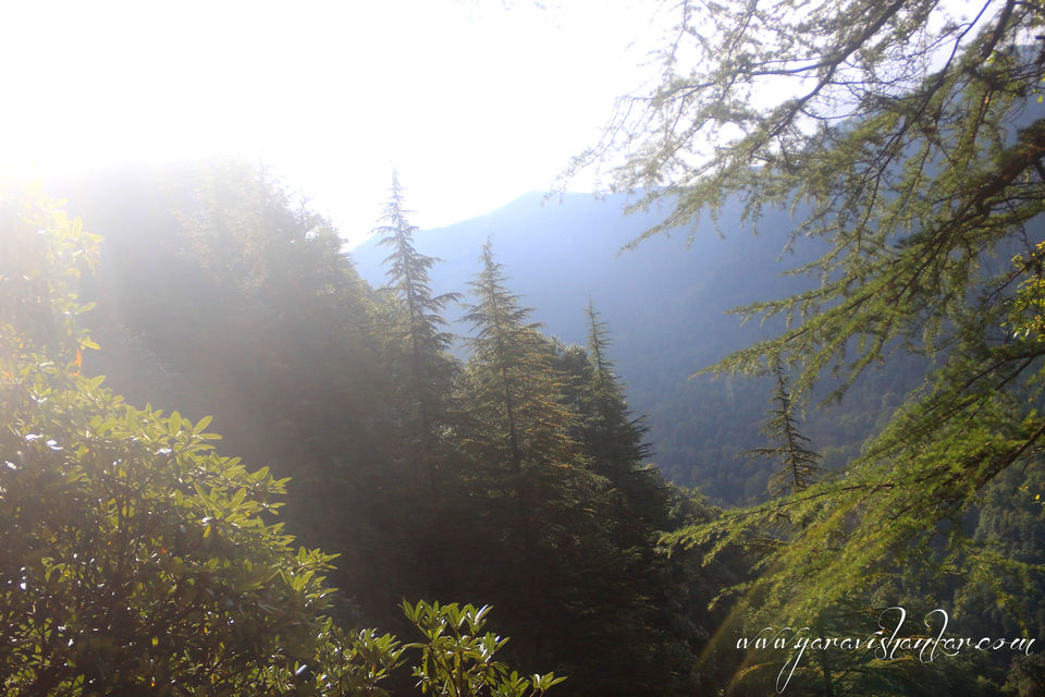 Photo of Trip to Dodhi Taal birth place of Lord Ganesh via Gangotari and Yamunotri 30/115 by Ravi Shankar