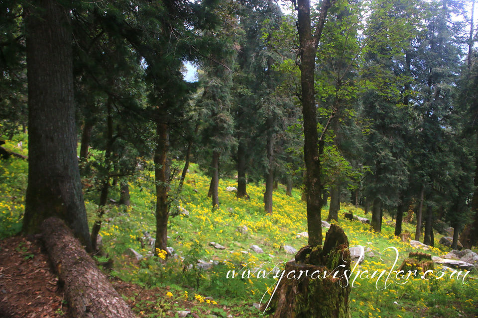Photo of Trip to Dodhi Taal birth place of Lord Ganesh via Gangotari and Yamunotri 38/115 by Ravi Shankar