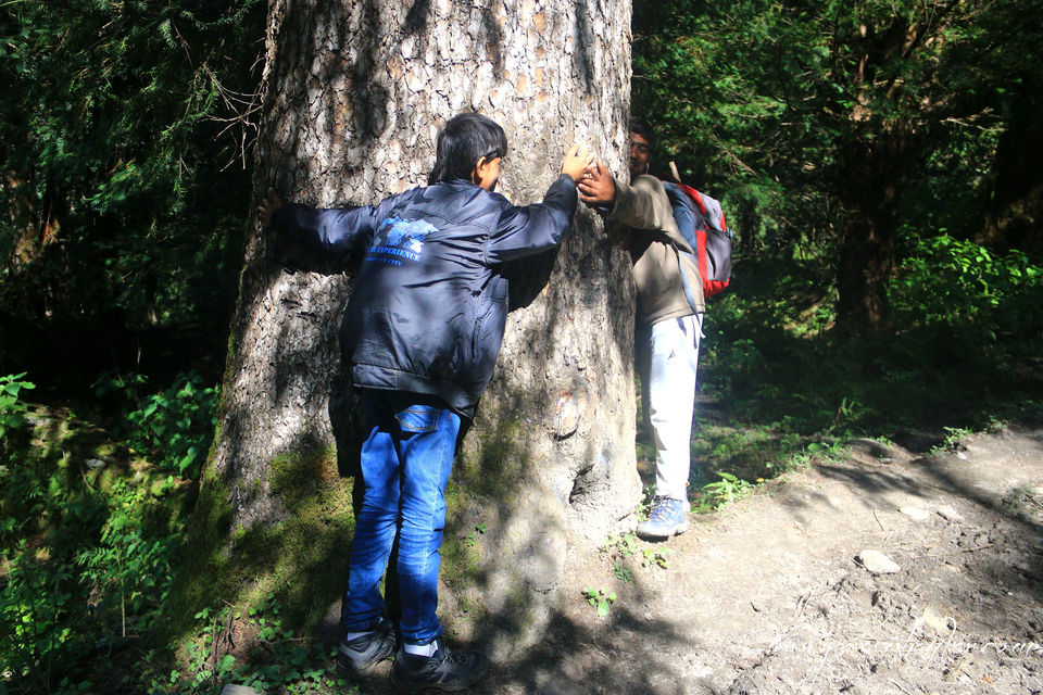Photo of Trip to Dodhi Taal birth place of Lord Ganesh via Gangotari and Yamunotri 94/115 by Ravi Shankar