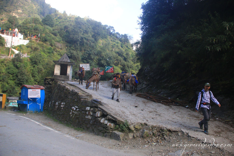 Photo of Trip to Dodhi Taal birth place of Lord Ganesh via Gangotari and Yamunotri 103/115 by Ravi Shankar