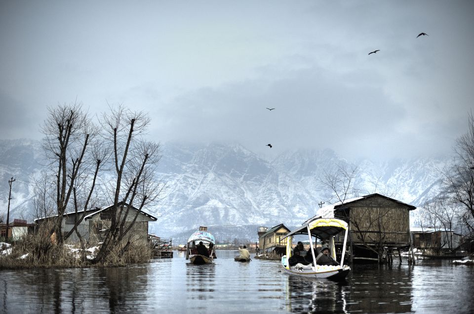 Photo of Here's How You Can Experience The Best Of Kashmir In 7 Days. Book Now To Get Free Return Airfare! 1/1 by Sonalika Debnath