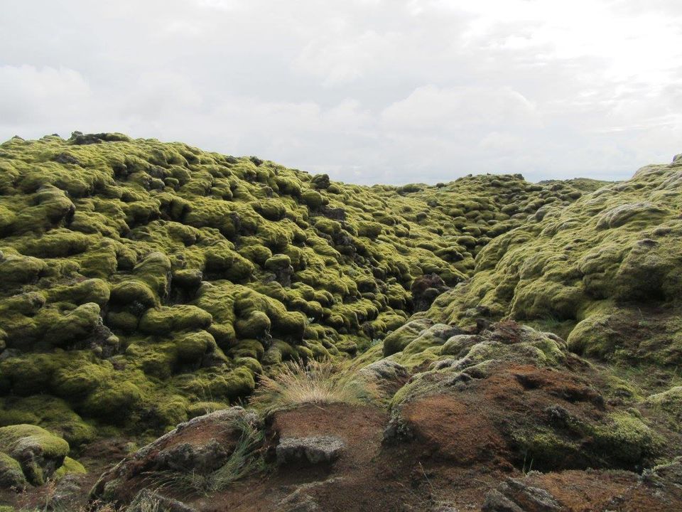 Photo of Criminally Beautiful Iceland 16/22 by Not Just Travelling