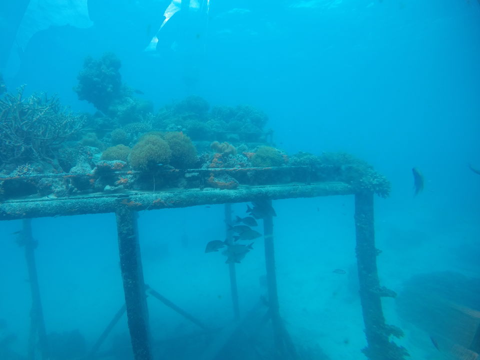 Photo of Addicted To Maldives 3/14 by Mahesh Karekar
