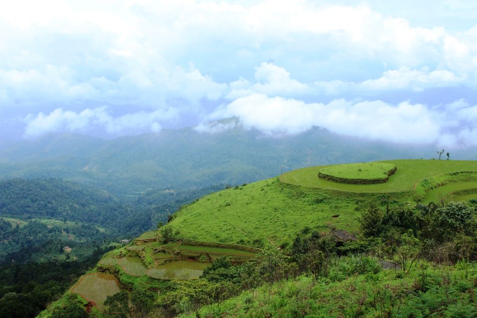 Photo of The Green Carpet that I Treaded on: My Trek to Kudremukha & Bavikonda Peaks 8/46 by Hrishikesh Baruah