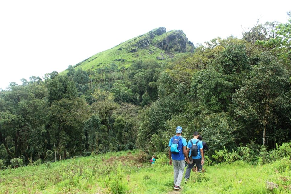 Photo of The Green Carpet that I Treaded on: My Trek to Kudremukha & Bavikonda Peaks 14/46 by Hrishikesh Baruah
