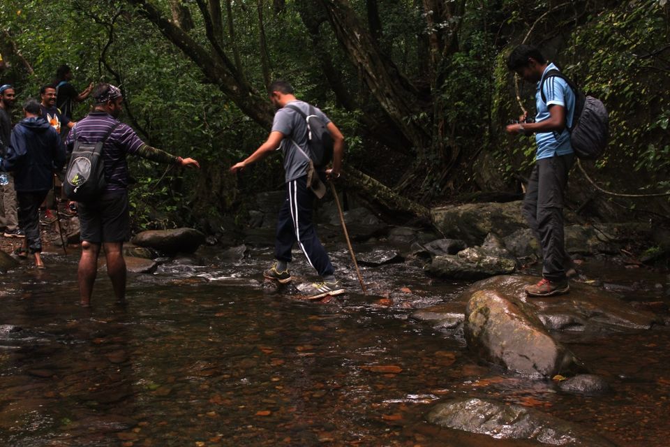 Photo of The Green Carpet that I Treaded on: My Trek to Kudremukha & Bavikonda Peaks 23/46 by Hrishikesh Baruah