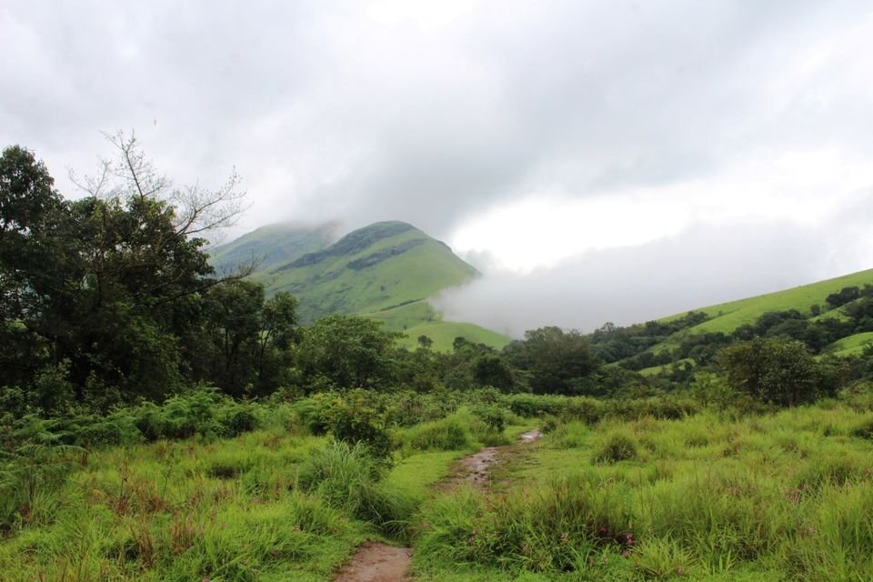 Photo of The Green Carpet that I Treaded on: My Trek to Kudremukha & Bavikonda Peaks 28/46 by Hrishikesh Baruah