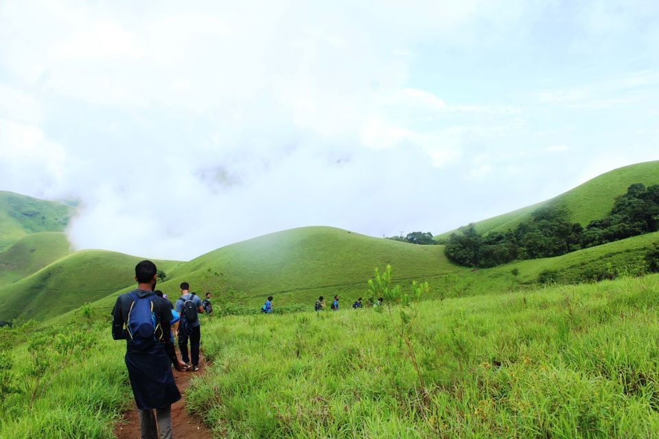 Photo of The Green Carpet that I Treaded on: My Trek to Kudremukha & Bavikonda Peaks 36/46 by Hrishikesh Baruah