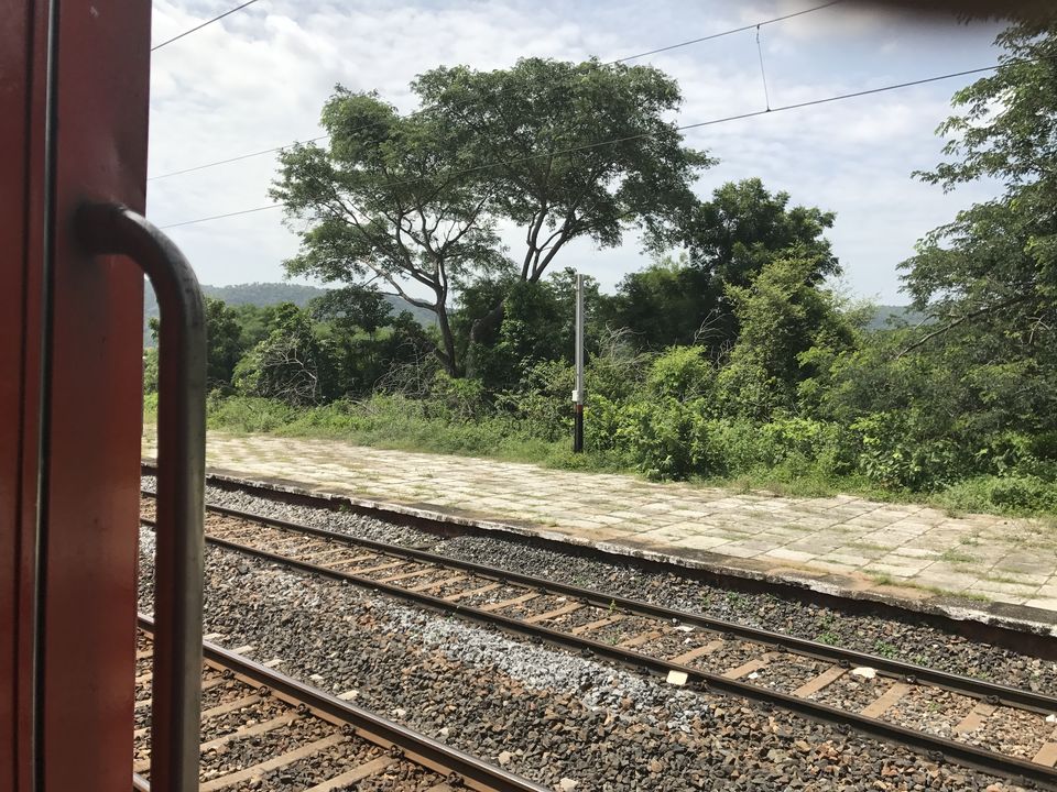 Photo of Delhi to Chennai- As seen through the window of a train 2/5 by Netra Agarwal