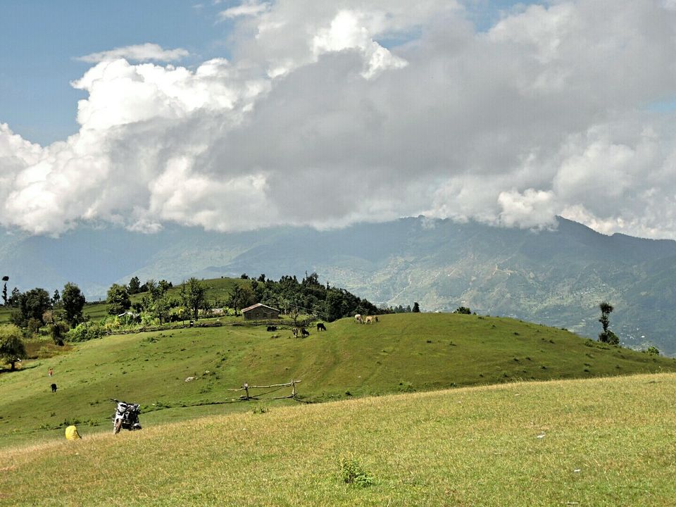 Photo of TravellingBulls 24/24 by Shubham Pokhriyal