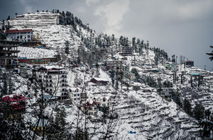 How We Found A Winter Wonderland Just 6 Hours Away From Shimla