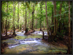 Khlong Thom Center วรจักร Bangkok Thailand 1/3 by Tripoto
