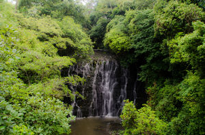 Elephant Falls 1/20 by Tripoto