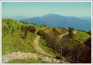 Trekking for the sun: Singalila Ranges