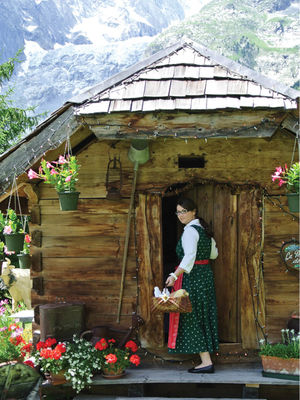 The Perfect Guide To An Enthralling Experience In The Alps