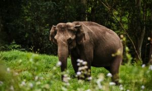 My Solo trip to Kerala