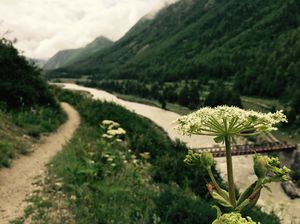 Kinnaur, Lahaul Spiti and Kullu
