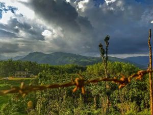 Weekend getaway drive - Bangalore - Mullayangiri - Kudremukh - Mangalore road forest - Bangalore