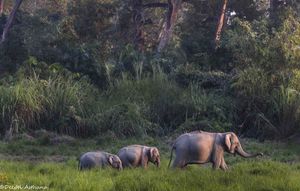 All You Need To Know About Exploring Northeast India In 10 Days
