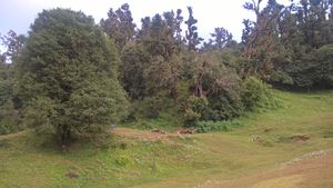 Deoria taal and Chandershila peak trek