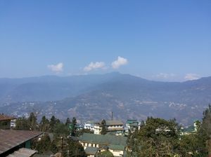 Yumthang:Valley Of Rhodendrons and Heavenly Flowers