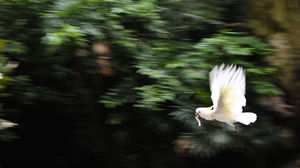 Jurong Bird Park 1/53 by Tripoto