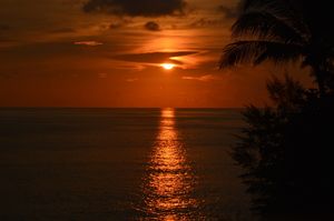 Best of Thailand